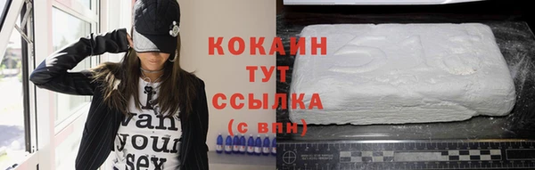 PSILOCYBIN Бородино