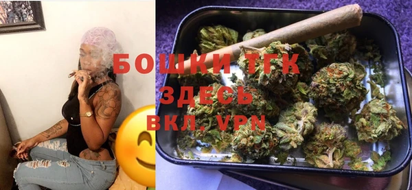PSILOCYBIN Бородино
