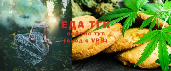 PSILOCYBIN Бородино