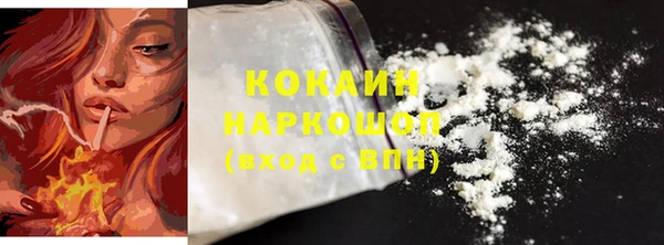 PSILOCYBIN Бородино