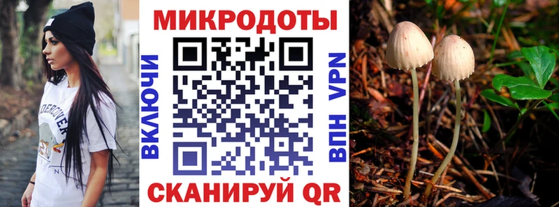Галлюциногенные грибы Cubensis  купить наркоту  Брюховецкая 